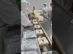 flow wrap packing machine